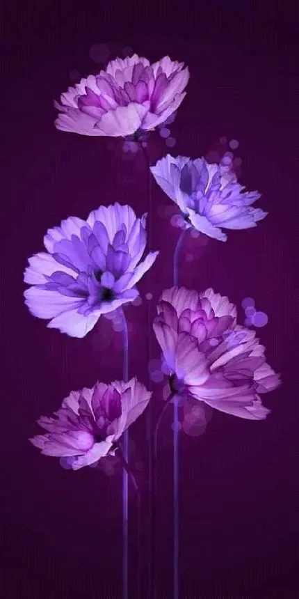 Exquisite purple flower wallpaper in full HD quality