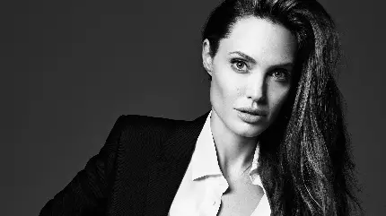 Angelina Jolie Beautiful Actress Black and White Wallpaper Download