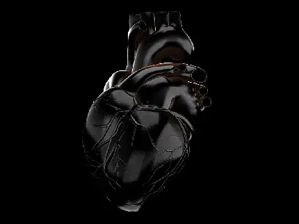 Black glossy real heart photo for special profiles in HD
