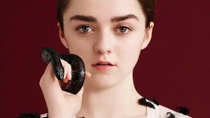 Download super beautiful photo of Maisie Williams in HD quality