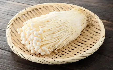 Enoki Mushroom Photo Winter Fungus
