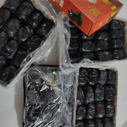 Sweet Date Fruit High Quality Photo - Free HD Download