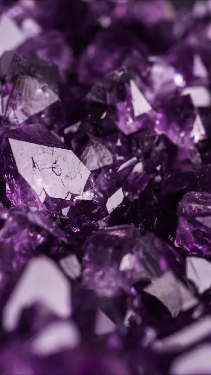 Premium purple theme mobile wallpapers in HD quality