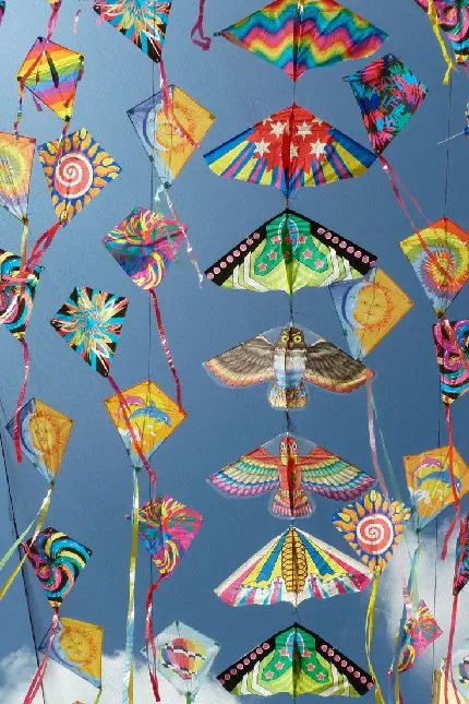 Kite Flying Day Photo Symbolizing Release of Sorrows