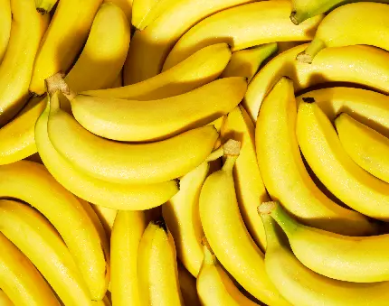 Wallpaper of colorful and attractive banana fruit in ultra HD