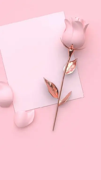 Beautiful pink rose gallery for love themes in HD quality