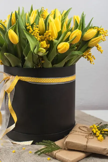 High Quality Background of Yellow Flower Box Premium Quality