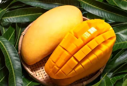 Photo and wallpaper of mango fruit with benefits in high quality