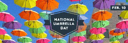 Umbrella Day Image Celebrating Popularity in China