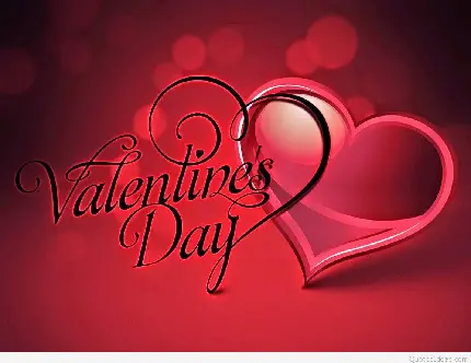 Valentines Day English Greetings for Instagram Stories