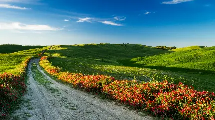 Beautiful Tuscany Region Italy Scenic Windows Background