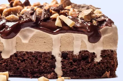 Ice cream cake popular dessert photo
