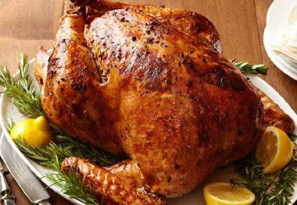 Stuffed chicken Persian dish high resolution food photo