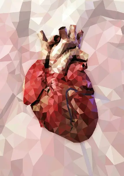 Checkered real human heart photo for Telegram and Instagram profiles