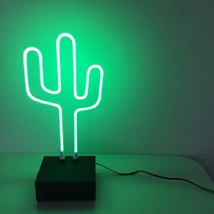 HD Neon Cactus Picture for Social Media Profile