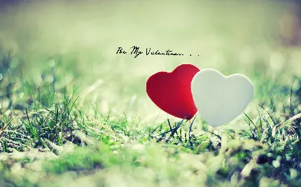 Exclusive Valentines Day 2022 Images for Stories and Profiles