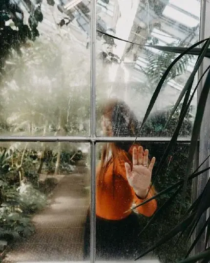 Faceless Girl in Greenhouse High Quality Profile Picture