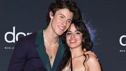 Shawn Mendes And Camila Cabello Young Pop Star Couple