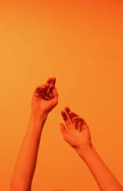 Orange profile picture for men with good taste in HD quality