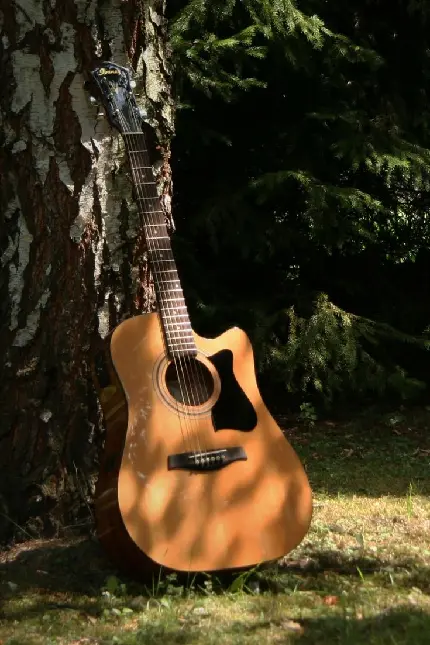 Guitar Image for Social Media Profile on Guitar Day