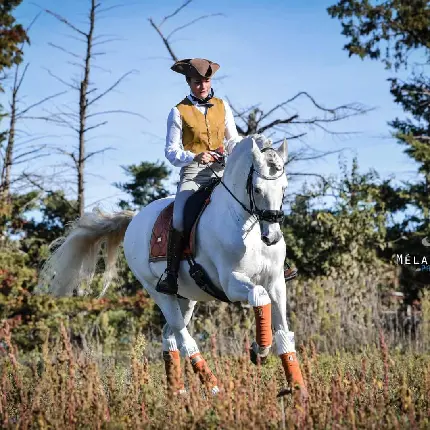 Download Profile Picture of Riding a Unique White Horse