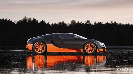 Special Bugatti Veyron Black Orange Unique Quality