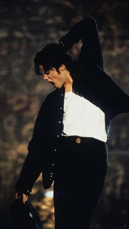 Michael Jackson picture for fans and collectors