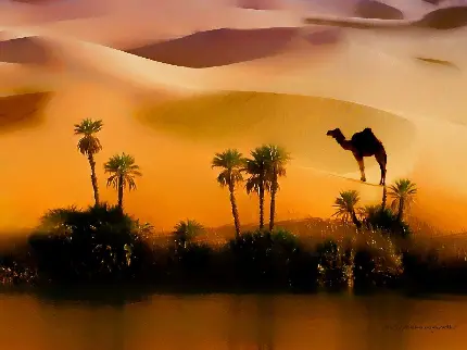 HD Desert Wallpaper for Screens