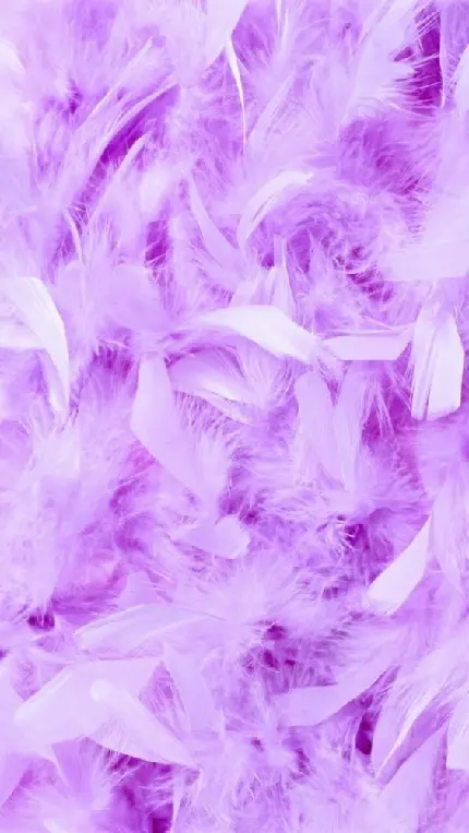 Luxury purple background for girls in full HD quality