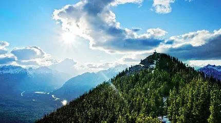Banff National Park Mountains and Coniferous Forest Wallpaper