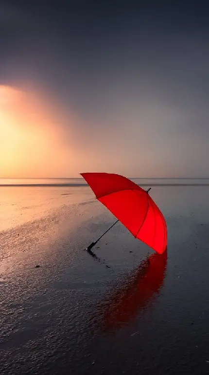 World Umbrella Day Image for Instagram Post