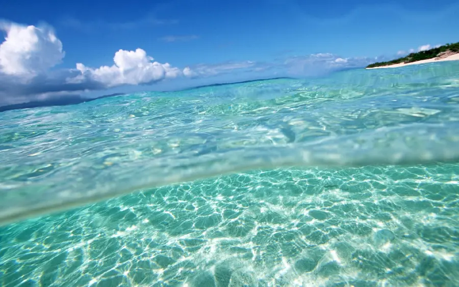 Underwater and water profile photos for WhatsApp and Instagram