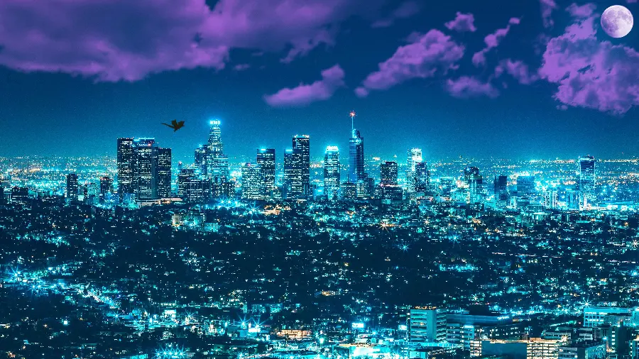Photo of the beautiful Los Angeles nature with a large and unique expanse at night