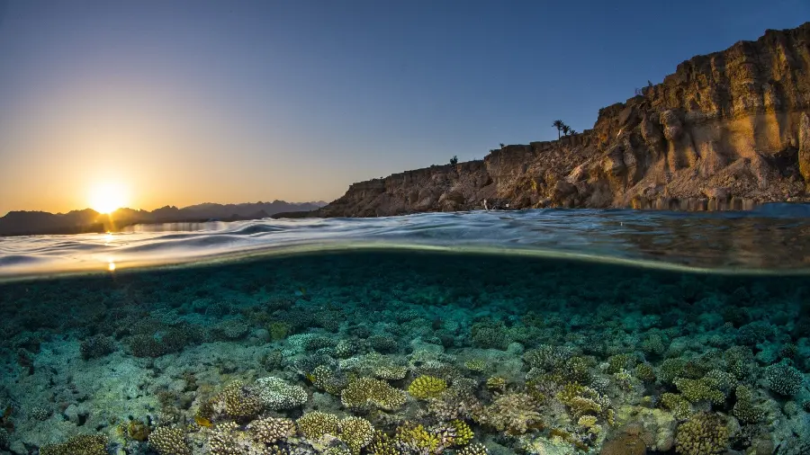 Underwater photos at sunset For mobile phone wallpaper