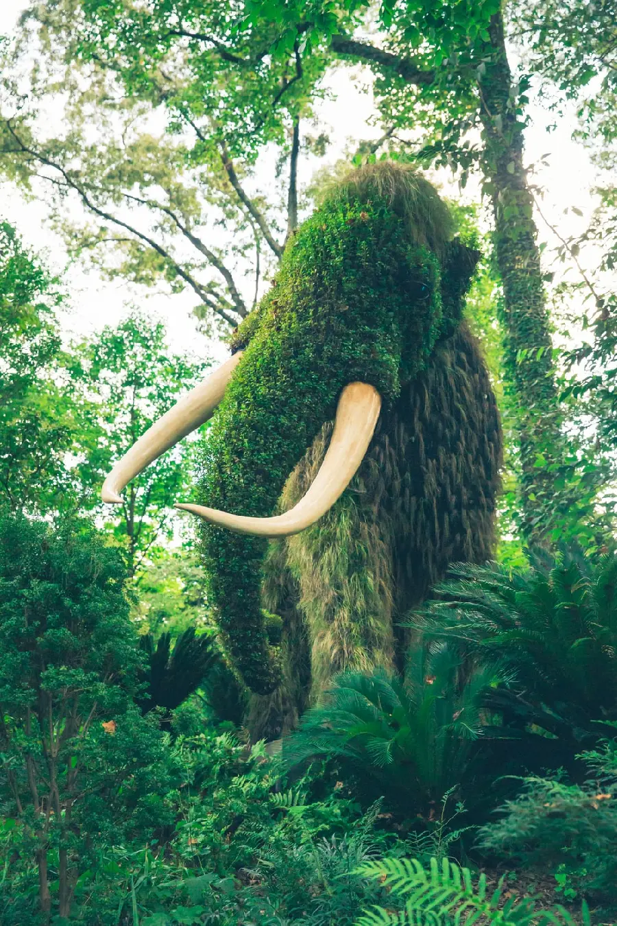 A strange image of a woolly mammoth in the midst of lush forests