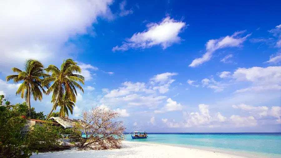 Jamaica beach photos in HD quality