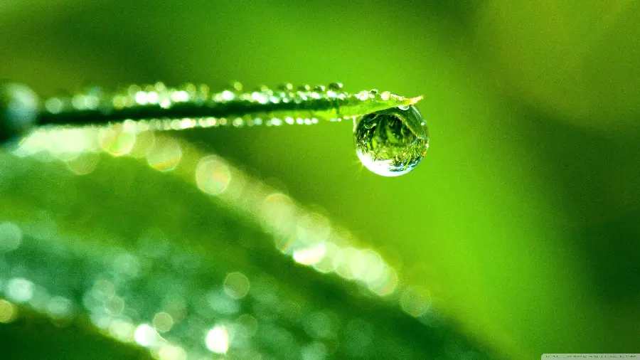 A very attractive and spectacular macro photo of a dropped water drop