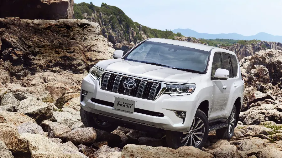 HD photo of white Prado