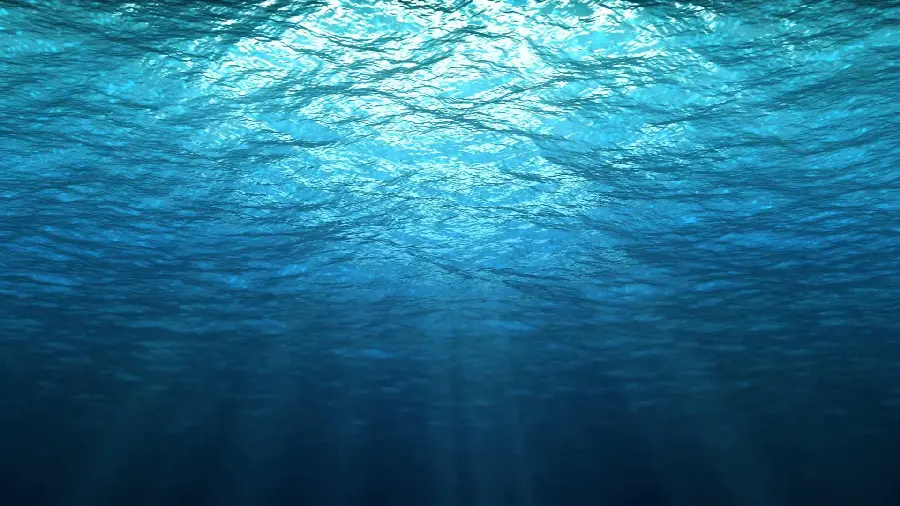Colorful picture of the beauty of nature under the sea and water