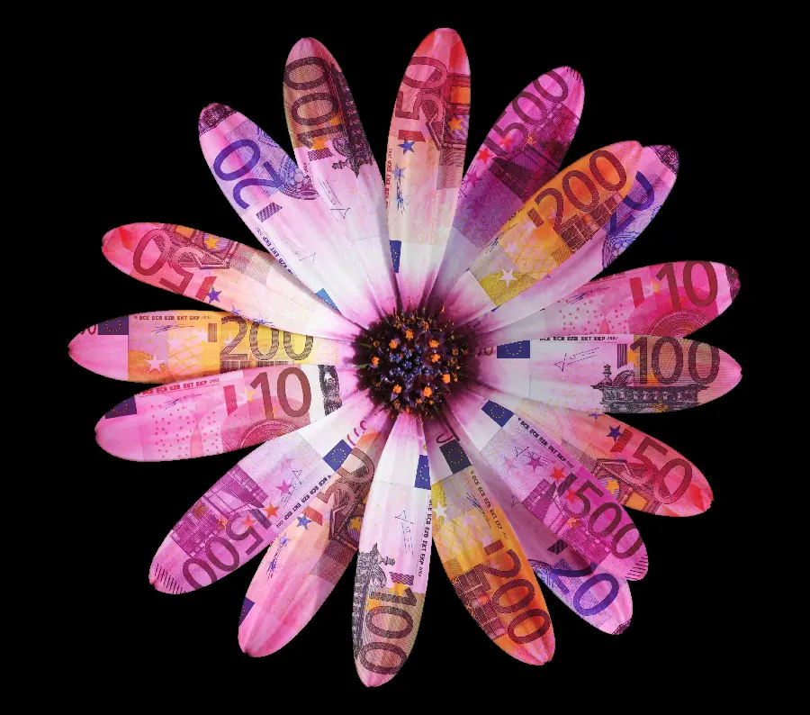 Creative HD photo with a flower subject with leaves made of money