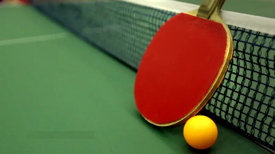 Table tennis racket and ball profile picture for girls