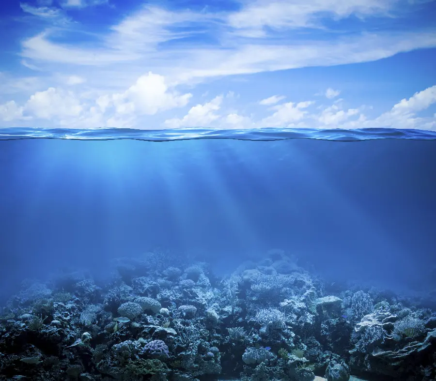 A spectacular photo of the ocean floor and corals and sunlight in 8k quality