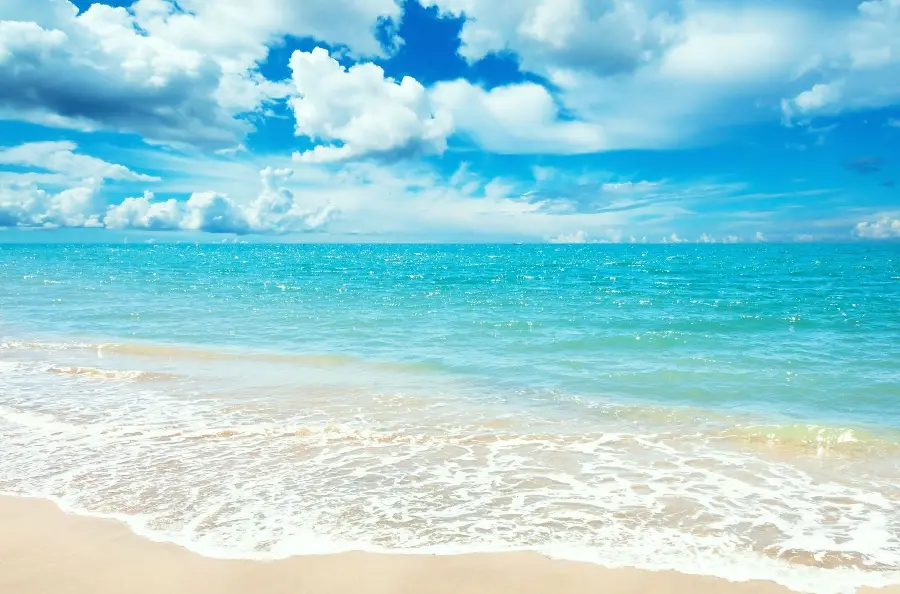 Photo of the beach near the Pacific Ocean in sunny and warm weather