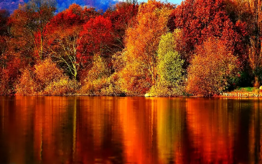 Beautiful Autumn River and Colorful Trees Background Photo for Laptop