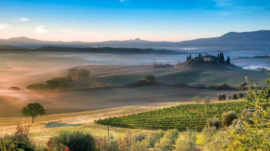 A very beautiful photo of the plain and trees and shrubs