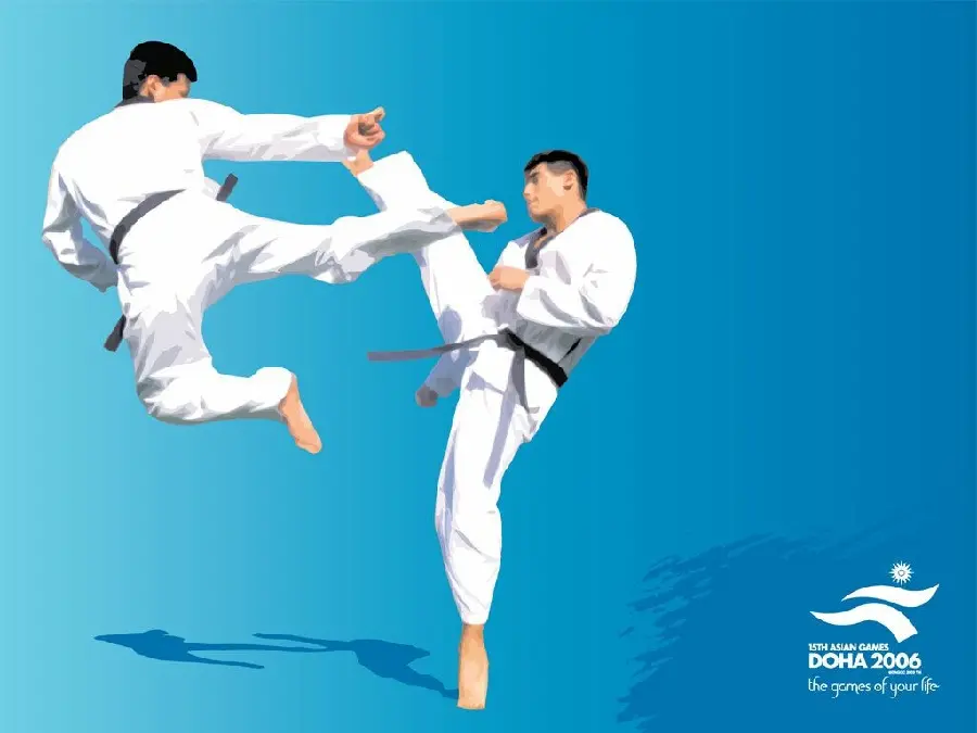 Photo of Karate Fighting and Sports for Printing on Boards and Chassis Panels