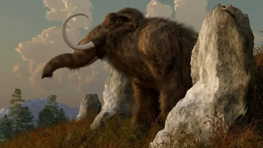 A clear image of a mammoth between two tall boulders