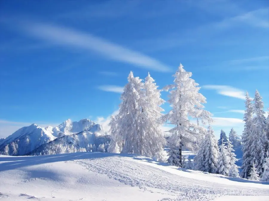 Winter wallpaper and background for boys and girls 2022 with HD quality