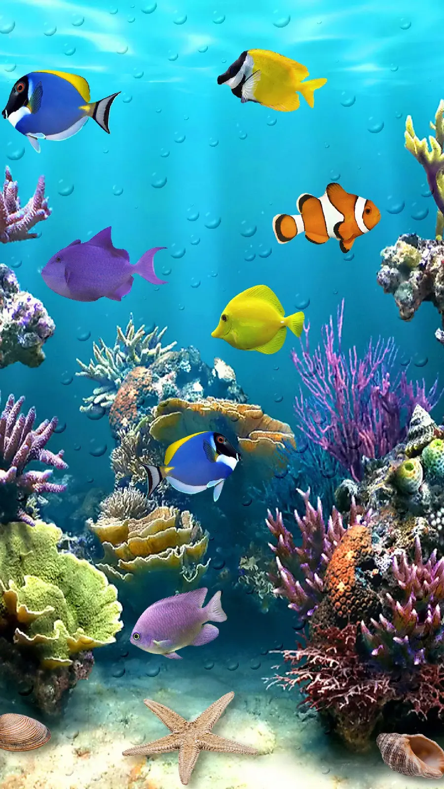 Photo of ocean fish wallpaper in the depths