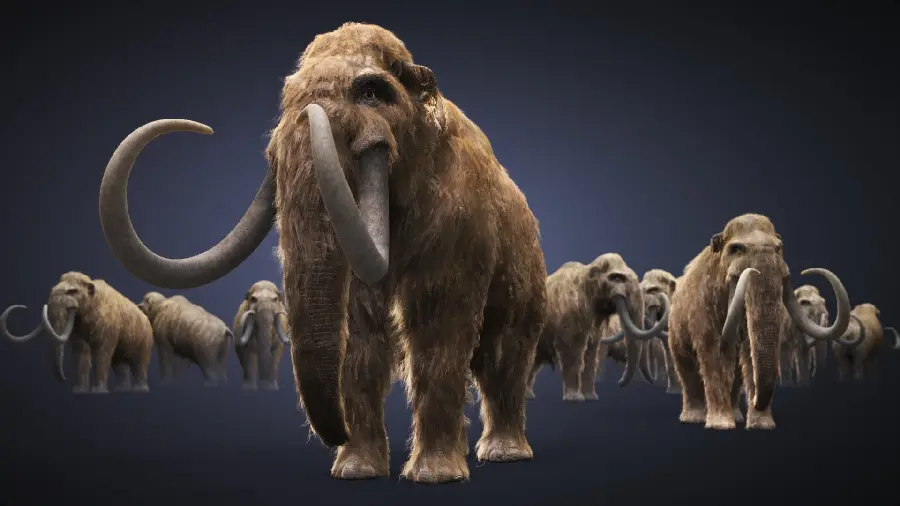 Image of a herd of small and large mammoths in a black painting